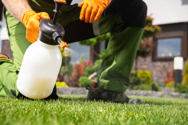 Best Best Pest Control Companies  in Town N Country, FL