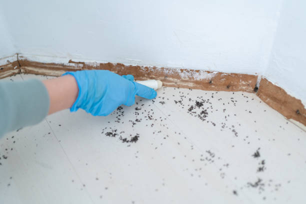 Pest Control for Restaurants in Town N Country, FL